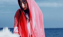 李云天2017年生肖狗运势详细版