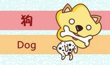 郑博士 十二生肖一周运势抢先看11.16-11.22