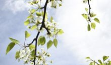 2019年正月初七，2019年正月初七是几号