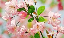 2019年正月初二，2019年正月初二是几号