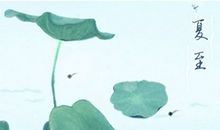 2021年节气夏至是在什么时候 2021年06月21日星期一