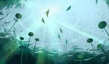 生辰八字如何测试婚姻 占卜姻缘何时到来