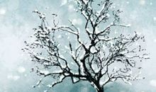 在线算八字身强身弱