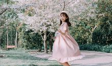 郑博士2020年11月15日生肖运势