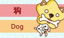 2024年狗的运势怎么样