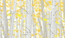 测你经常在哪些边缘疯狂试探