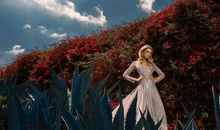 狂月今日运势2020年11月19日