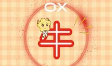 97年属牛本命年可以领证吗