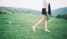 大智若愚的三大生肖