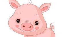 2017年属猪人8月运程解析