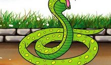 2017年属蛇人8月运程解析