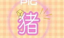 2021年一月生肖猪男运势解析大全最详细版本