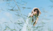 诡魅塔罗今日运势2020年11月23日