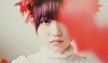 最塔罗每日运势2020年11月23日