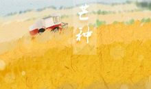 2021年芒种时令的文化寓意 安苗是什么