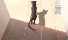 2021年立夏节气是多少号 5月5日