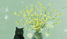 2021年节气立春三候及解释 天气谚语是什么