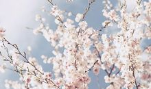 把男人吃的死死的灵数星座女