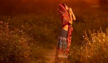 Lunita一周星座运势（11.23-11.29）