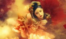 郑博士2020年11月24日生肖运势