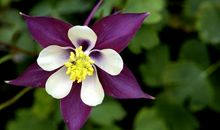 测试：你五年内的富贵运势