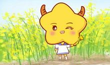 金牛女和金牛男在一起会怎么样