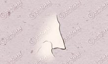 面相学鼻子大 鼻子大鼻梁高的人面相解析