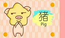 2021年六月属猪女最全运势详解