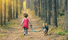 摩羯座未来三年运势怎么样