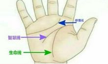 生命线短寿命就短吗