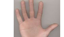 女人右手断掌纹的命运如何