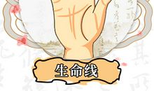 生命线揭秘你的健康运