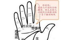 男人是否花心?看手相就知道了