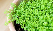 面相分析你靠什么能发财？