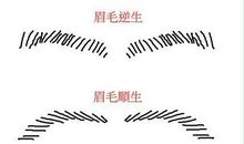 手面相看你贵人多还是小人多?