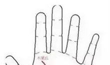 能够白头偕老的手相特征