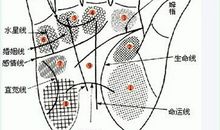 警惕：滥施情感的六大手相