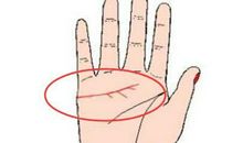 盘点花心大萝卜的手相特征