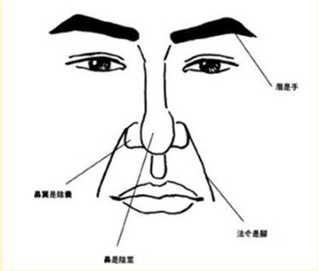 2017年哪五个主要面孔有双重收获