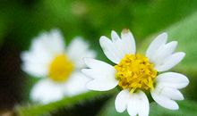 什么面相的人喜欢搬弄是非?