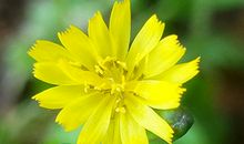 分析个人运势好坏 可从五官面相来看