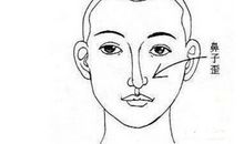 详细解读不同鼻子面相具有的运势含义