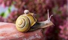 从眼神交流看对方心思