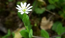 这四种长相的人必然是小人