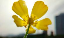 女性痣相中哪些能够被称之为“克夫痣