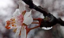 那些手相的女人总是遇人不淑