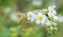 张鑫龙：法令纹看你晚年能否享福