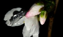 长相什么样的人最有福气