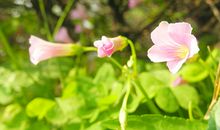 哪些痣会导致婚姻不利