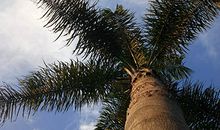 开运痣相都有哪些比较常见